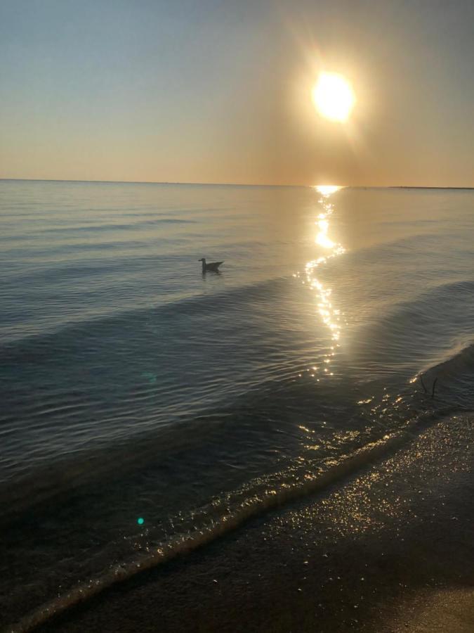 Primera Linea De Playa A 1Km Del Puerto De Denia Eksteriør bilde